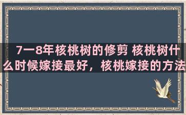 7一8年核桃树的修剪 核桃树什么时候嫁接最好，核桃嫁接的方法有哪些